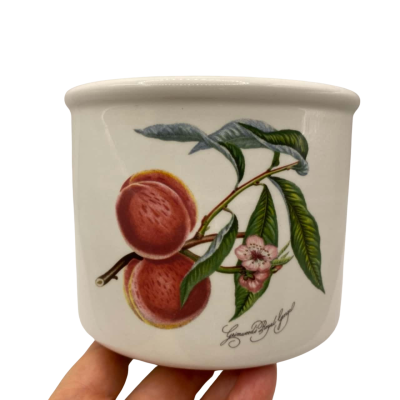 Portmeiron brand porcelain pot/ planter