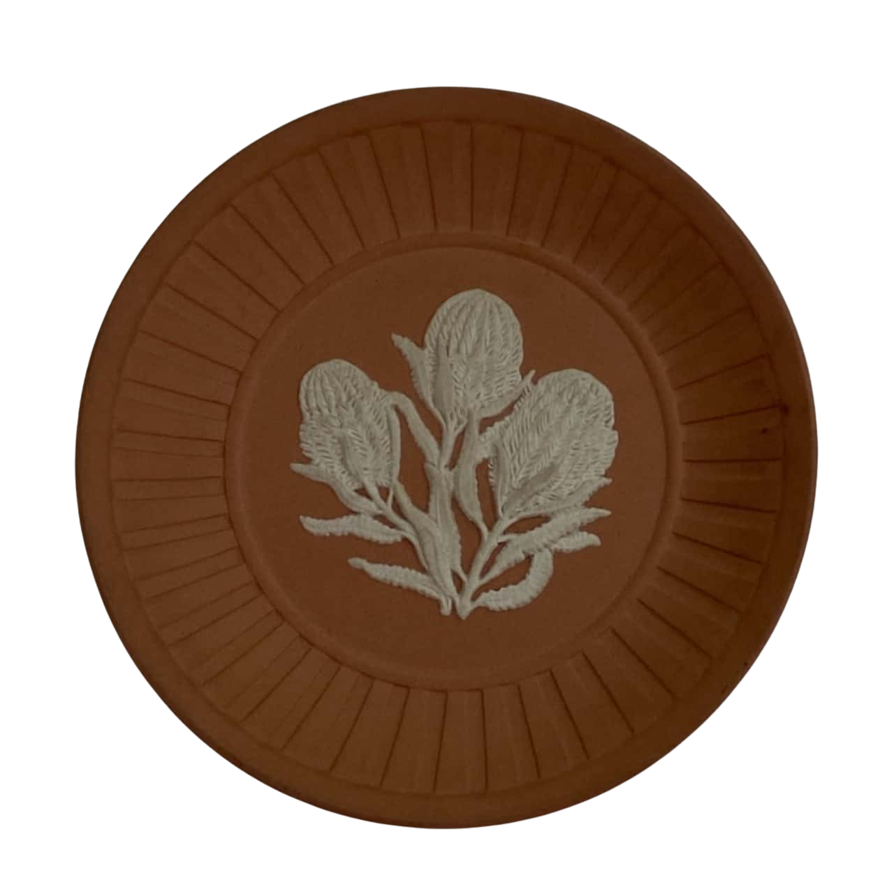 Wedgwood Jasper White on Terracotta