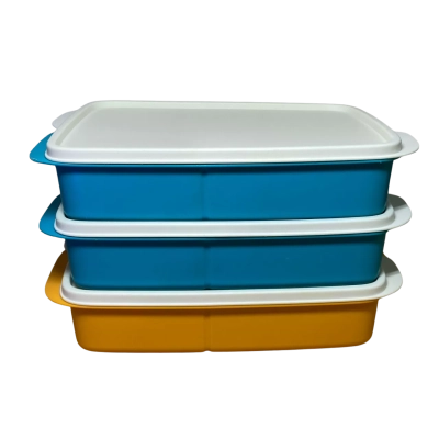 Tupperware lunch it divided containers set of 3