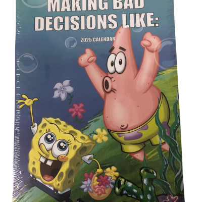 Sponge Bob 'Making Bad Decisions Like:' 2025 Calendar NEW