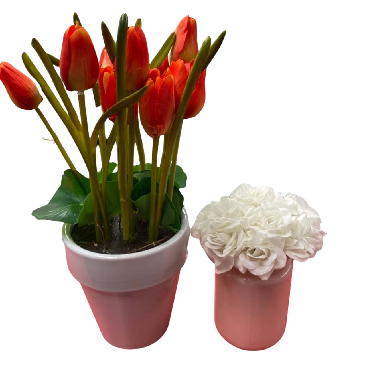 Tulip pot and white pot of flowers