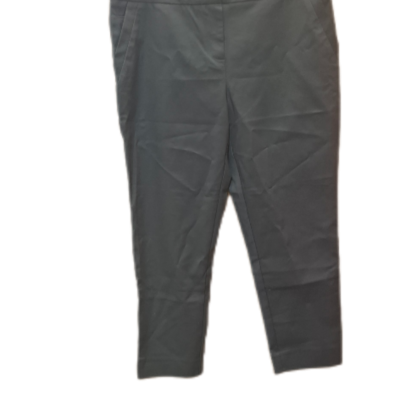 Basque Womens  Size 12 Slim Fit Pants Brown 