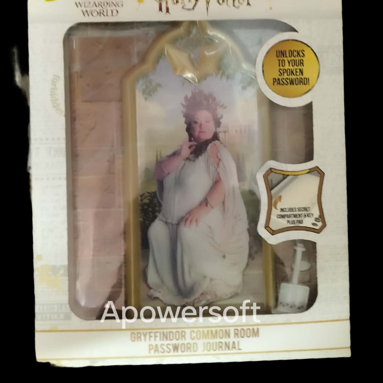 Harry Potter Gryffindor Common Room(s)