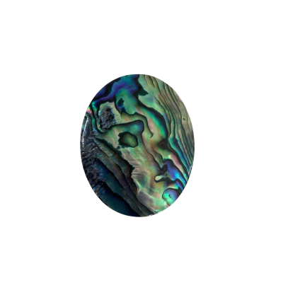  Womens Paua Shell Brooch 