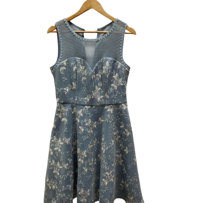 Review Womens  Size 12 Blue Dress