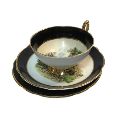 Crown Trent Staffordshire Fine Bone China Pastel Flowers Cup, saucer and Plate