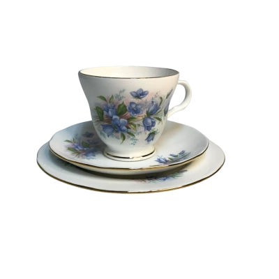 Crown Trent Cup, Saucer & Plate with bluebell pattern