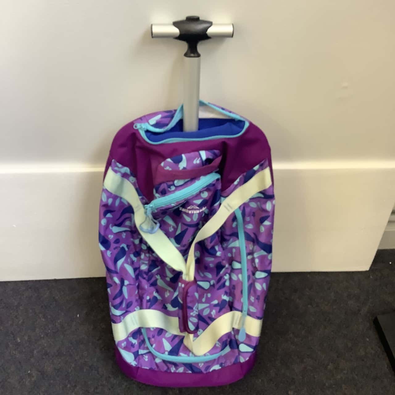 kathmandu purple backpack