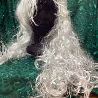 Long Silver Wig