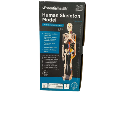 Essential Health Human Skeleton Model 