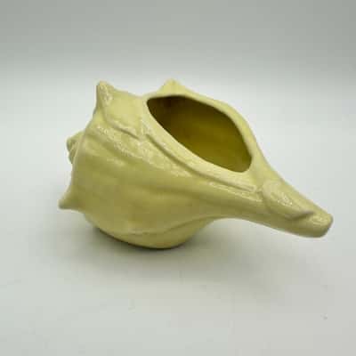 Yellow Conch Shell Planter - Japan