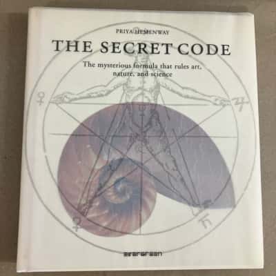 Priya Hemenway, The Secret Code