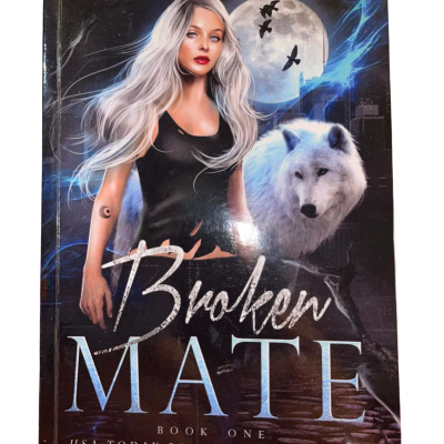 Broken Mate - Shadow City: Silver Wolf - Jen L Grey