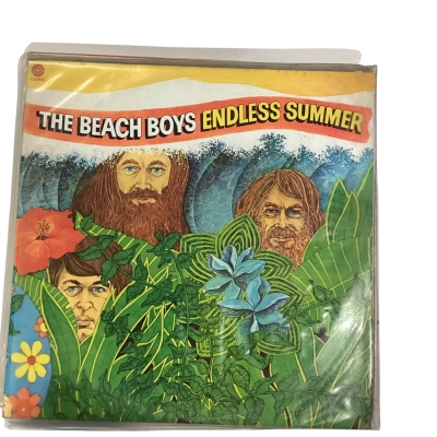The Beach Boys Endless summer