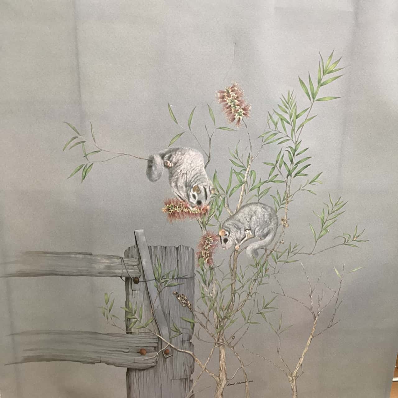 Image Tester