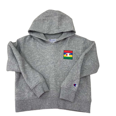 Champion Kids SPS Graphic Crop Hoodie Size 10