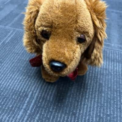 Peter Alexander Plush Dog 