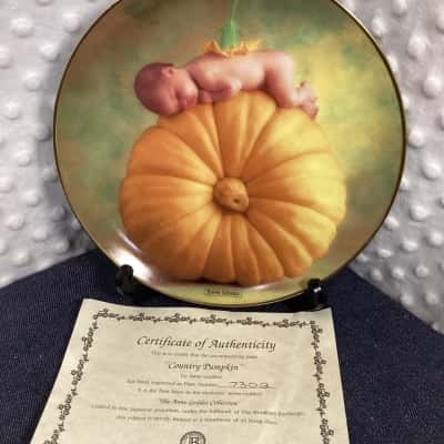 Anne Geddes Country Pumpkin Plate