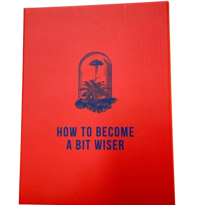 The School of Life- How To Become A Bit Wiser Cards & Stand 