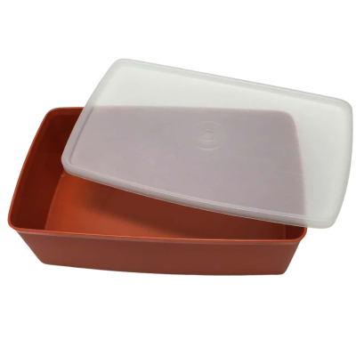 Tupperware- Vintage