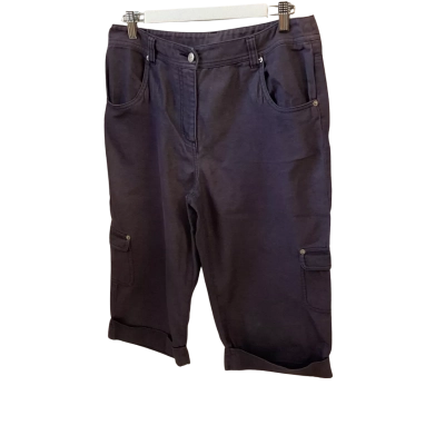 Duchamp Womens  Size 10 Shorts Blue / Purple 