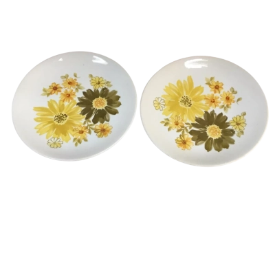 Vintage Floral Patterned Plate x 2 Approx 17cm Diameter
