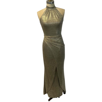 Paris Giorgia bnwt Womens Dress  Size M / S Silver 