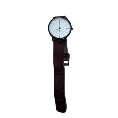 Skagen Watch ( SKW6216)