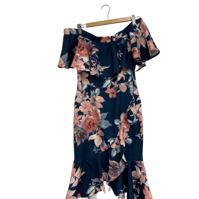 St Frock  Womens  Size 10 Blue / Floral Dress