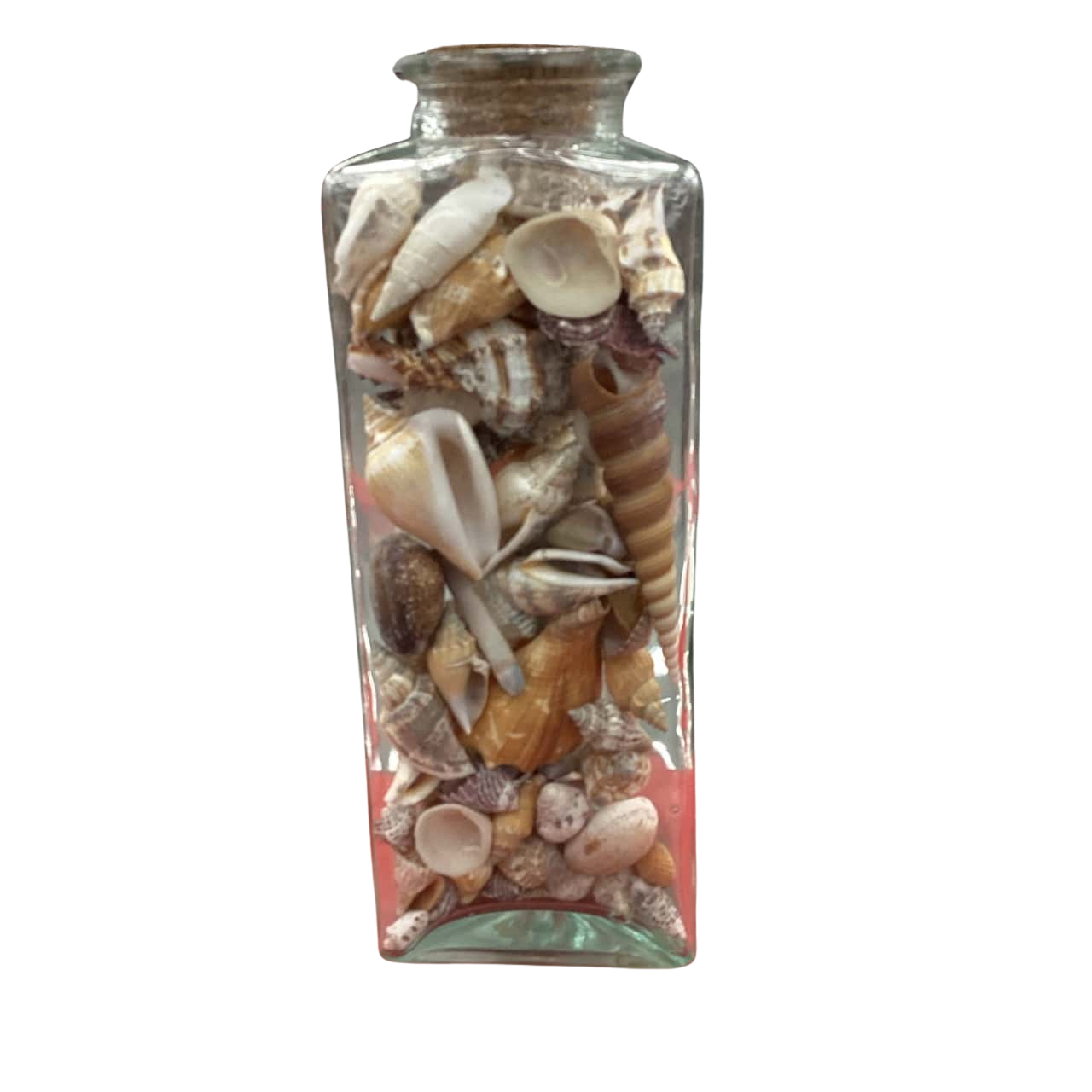 Se Shell Jar Jar of Vintage Mixed Sea Shells and Coral (s)
