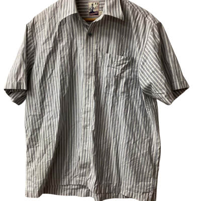 Fletcher Jones Mens  Size M Business Shirt (b)