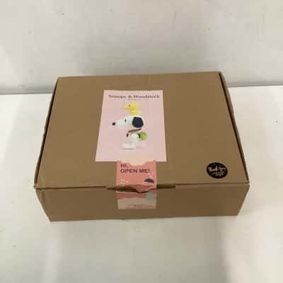 Snoopy & Woodstock DIY Kit