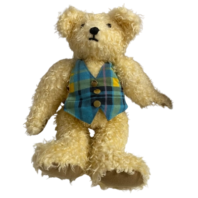 Collectable Teddy Bear 