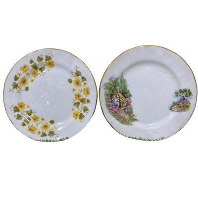 Queen Anne Bone China Plates x2