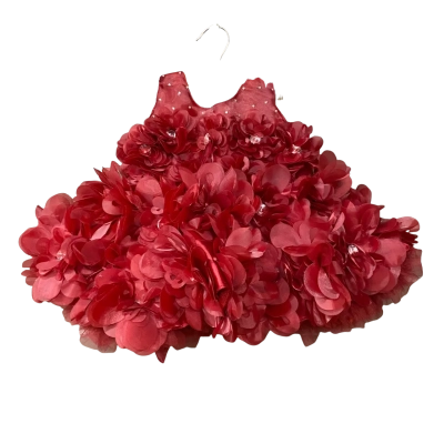 BNWT Queen Baby Maroon Floral Dress  