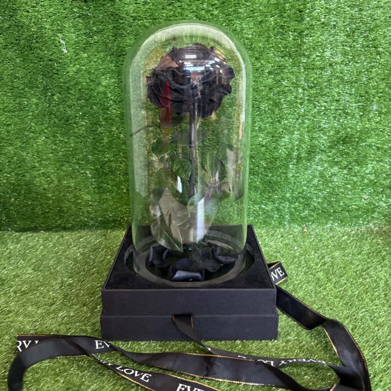 Every Love Preserved Flower In Dome (Boxed)