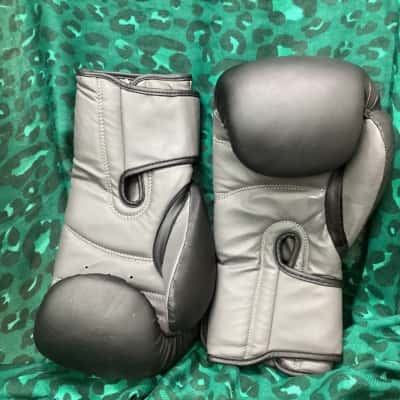 12 oz Boxing Gloves 