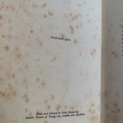 1924 First Edition Mills & Boon - Trainer and Temptress