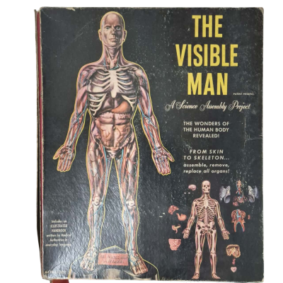 The Visible Man