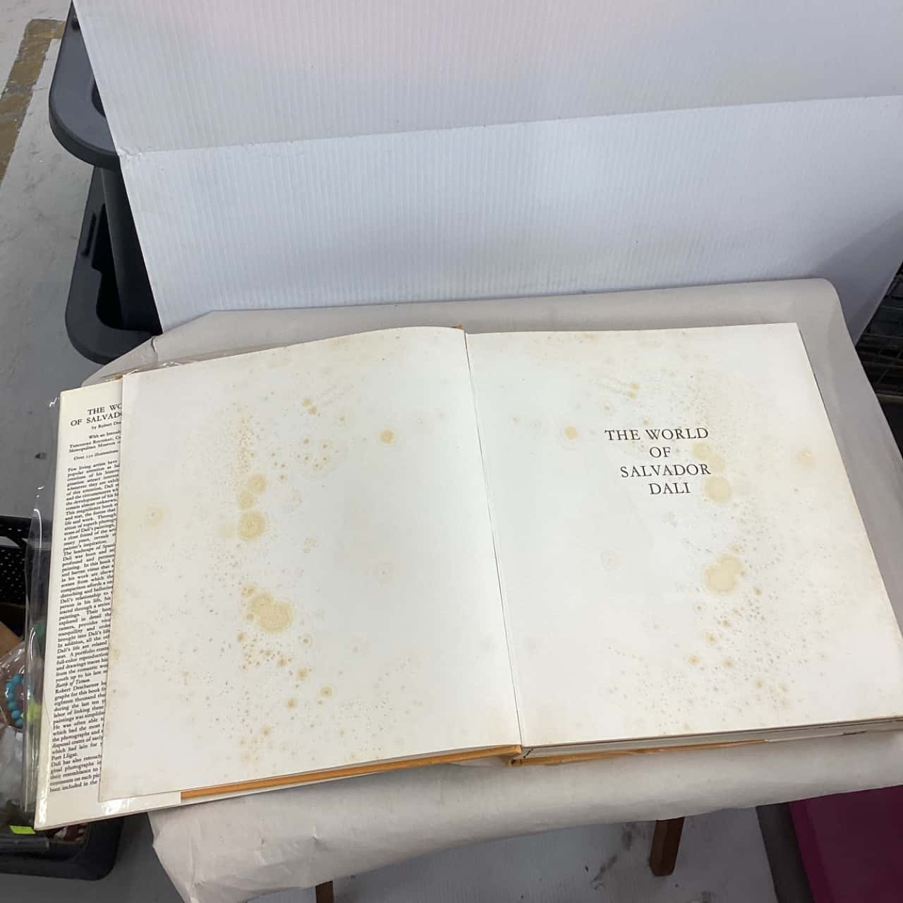 Image Tester