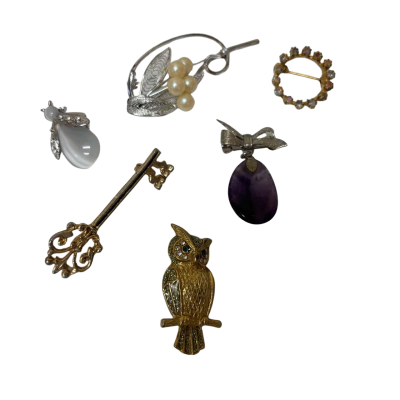 Brooch bundle of 6 assorted
