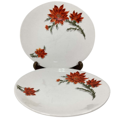 Vintage Wood & sons England orange peonies plates