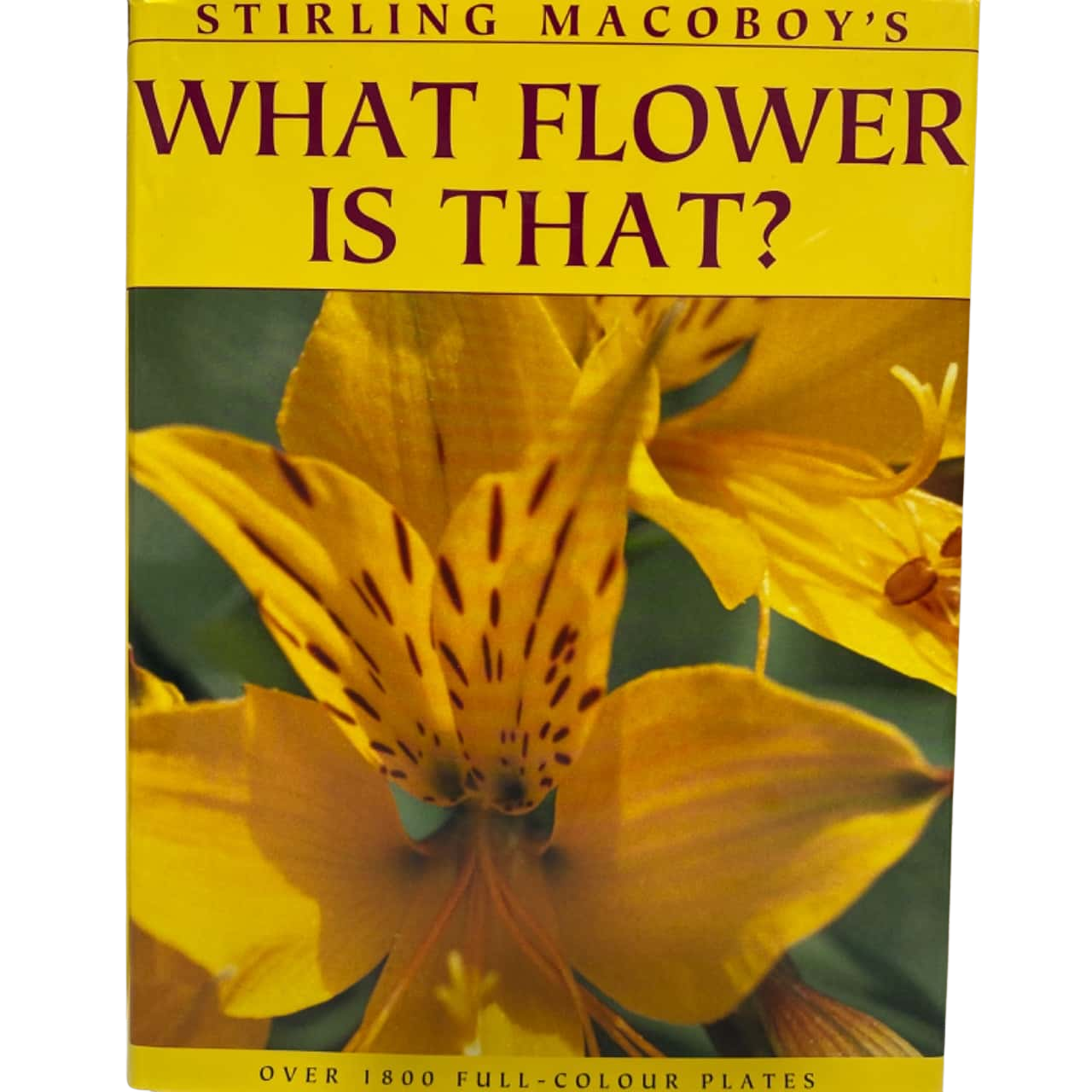 What Flower Is That? by Stirling Macoboy