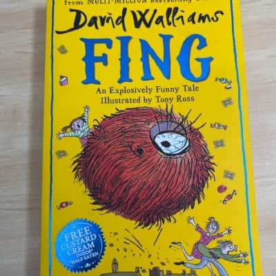 David Walliams, Fing 