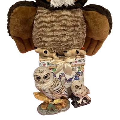 OWLS