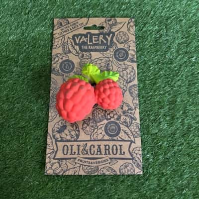 Oli And Carol Valery The Raspberry Bath Toy (New)