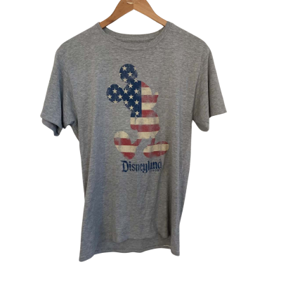 Disney Parks T-Shirt  Size M / S Grey 