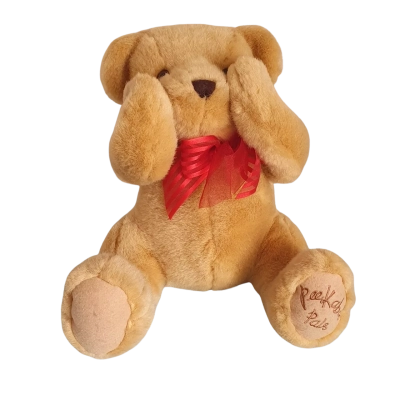 Mango Peek-a-boo Bear