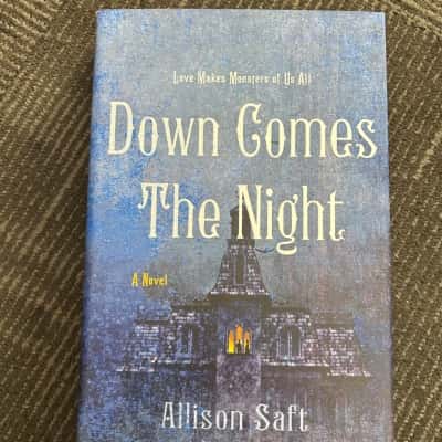 Down comes the night, Allison Saft 