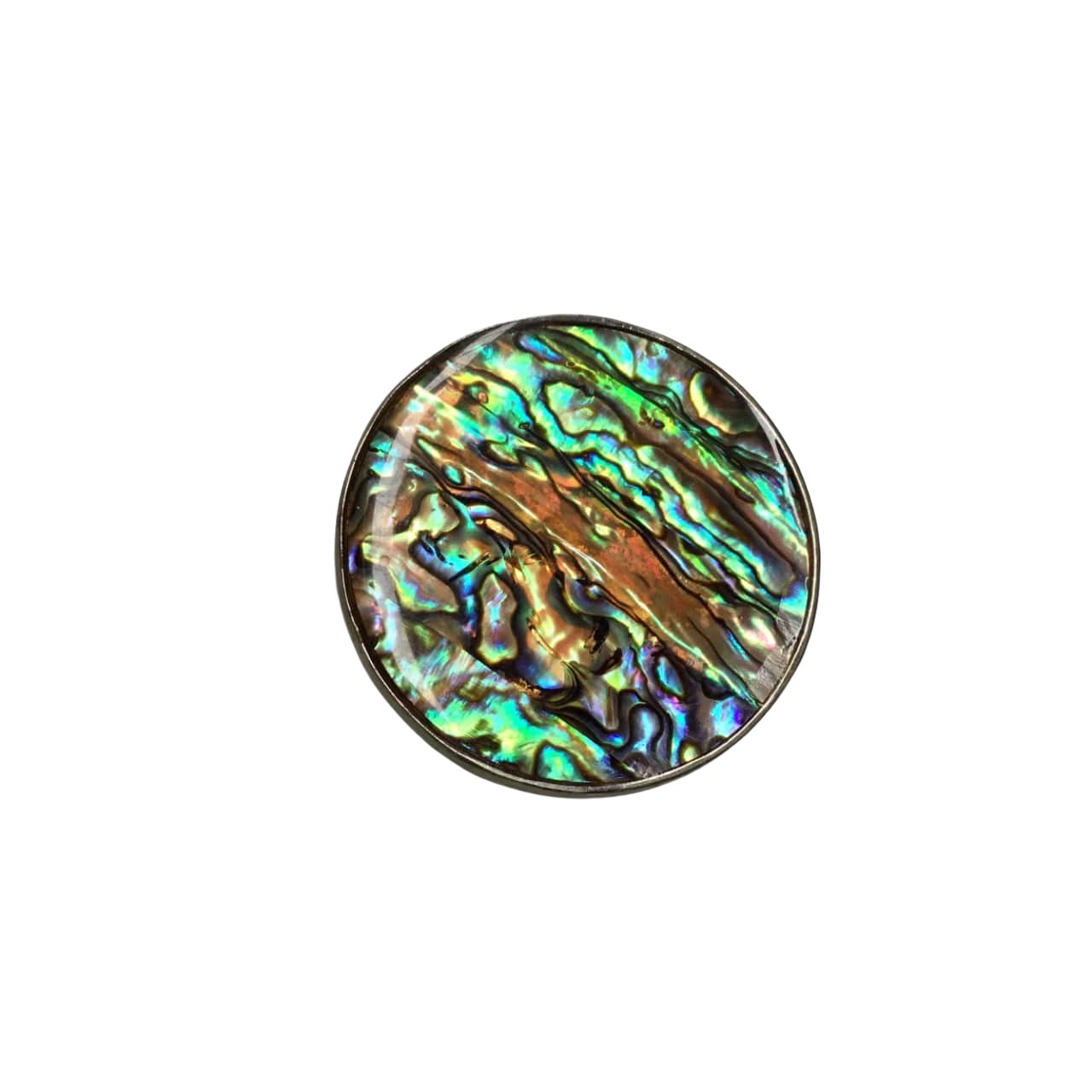 Large Polished Shell Pendant With Silver Backing